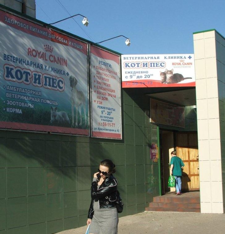 Баннер клиники Кот и пёс