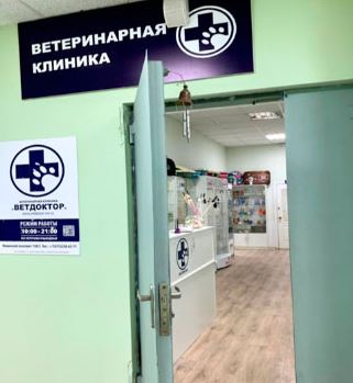 Баннер клиники Ветдоктор