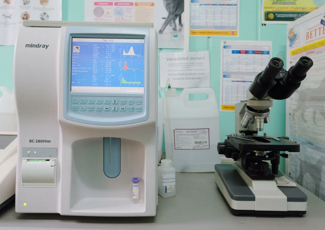 Баннер клиники Доктор Вет на ул 20-летия Октября