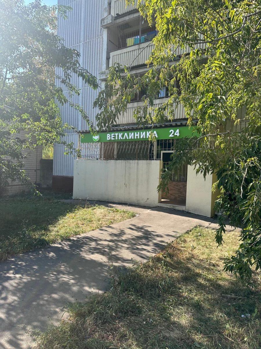 Фото «Здоровые лапки»