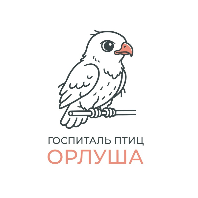 Логотип клиники