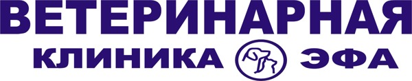 Эфа на Бакинских комиссаров