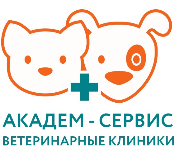 Академ-сервис на Фатыха Амирхана