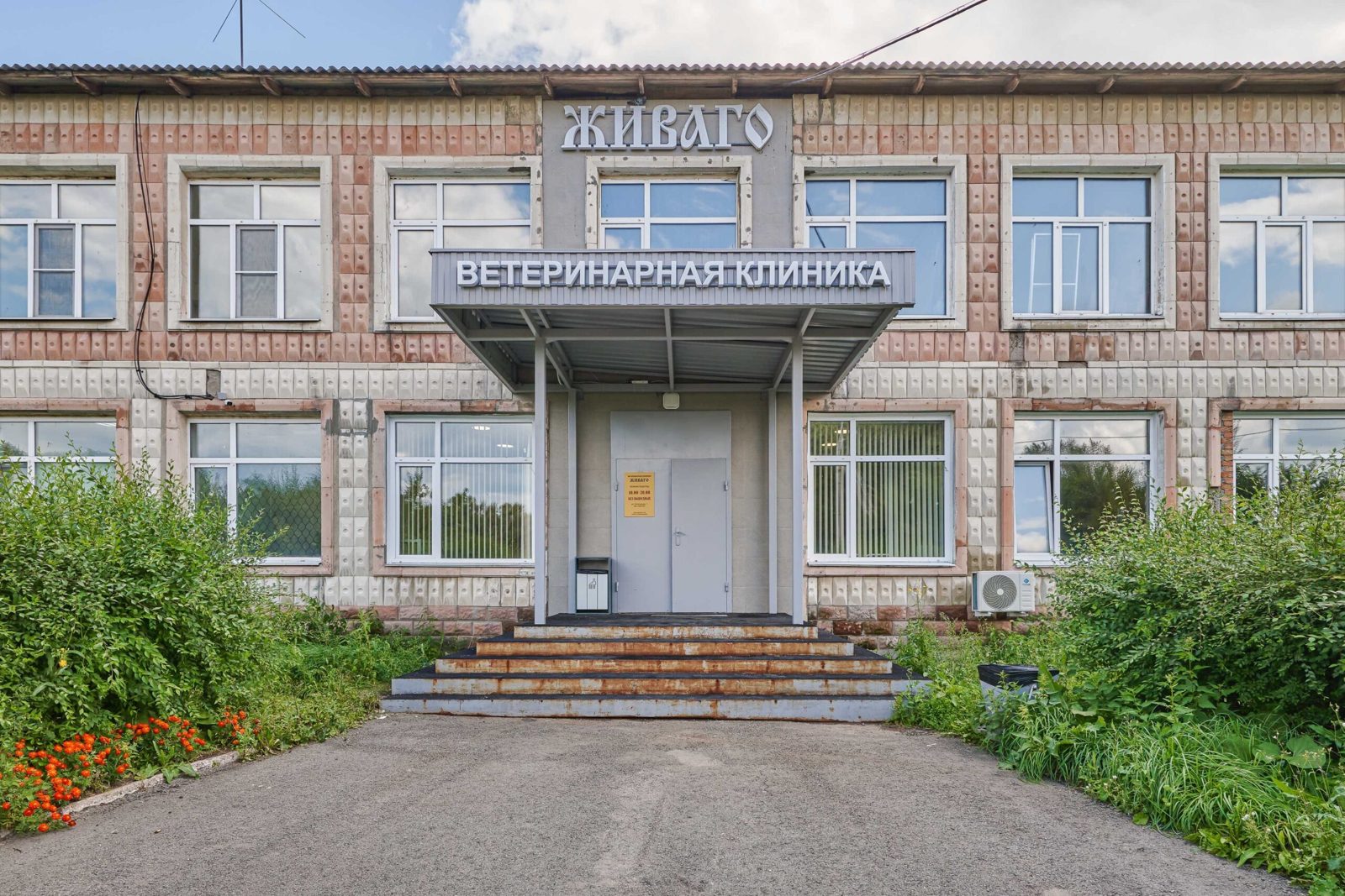 Фото клиники Живаго в Больших Полях