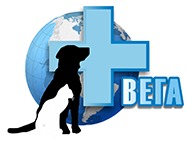 Вега