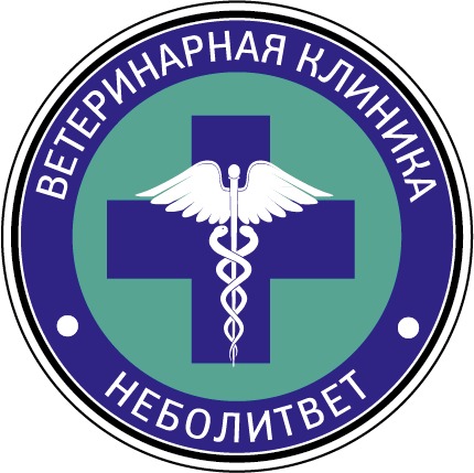 Неболит
