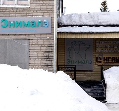 Фото «Энималз на Никитина»