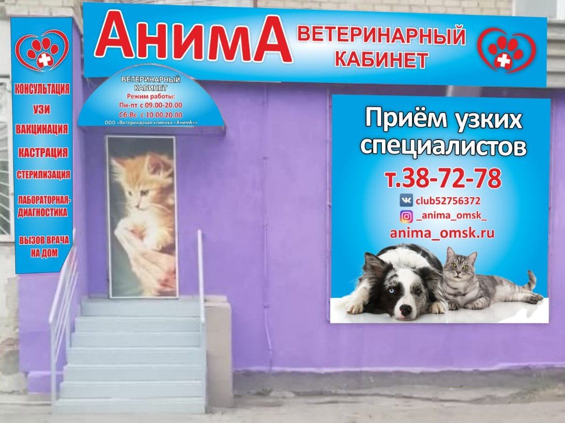 Фото «Анима»