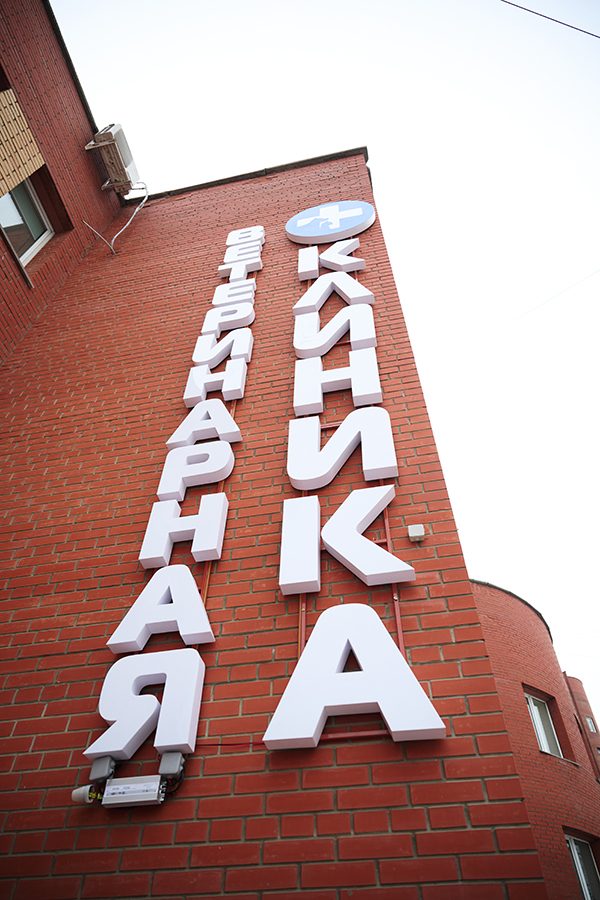 Фото клиники Симсон