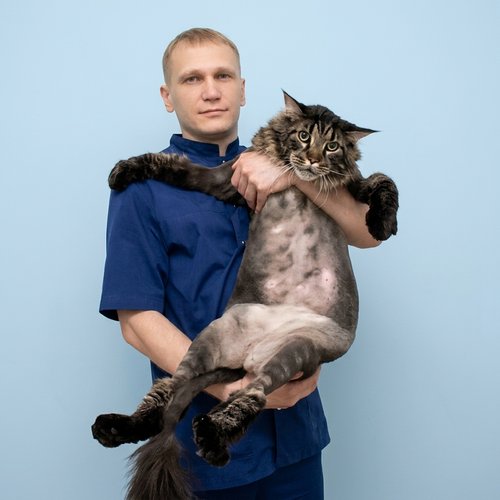 Фото врача Зинченко Александр Александрович
