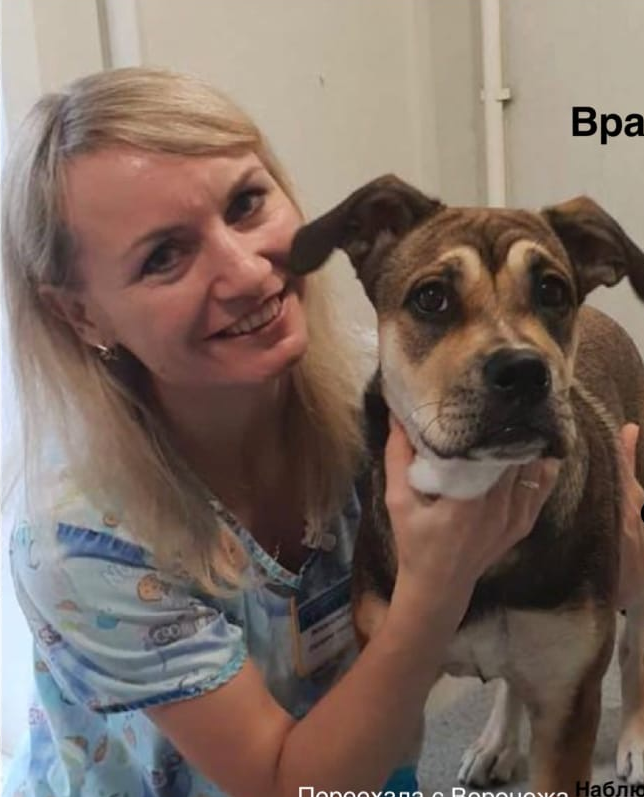 Баннер врача Шарапова Екатерина Николаевна