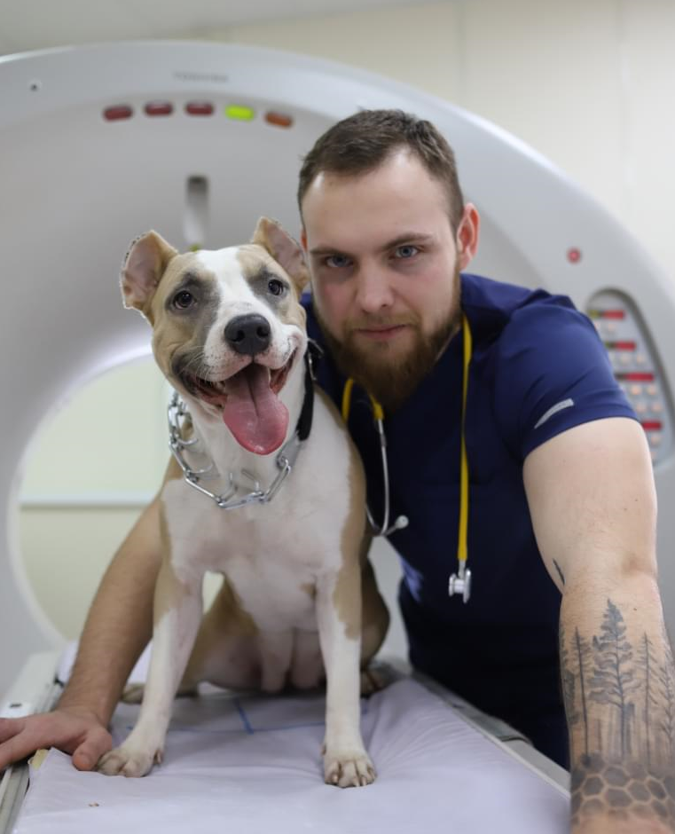 Баннер врача Авдеев Вадим Юрьевич