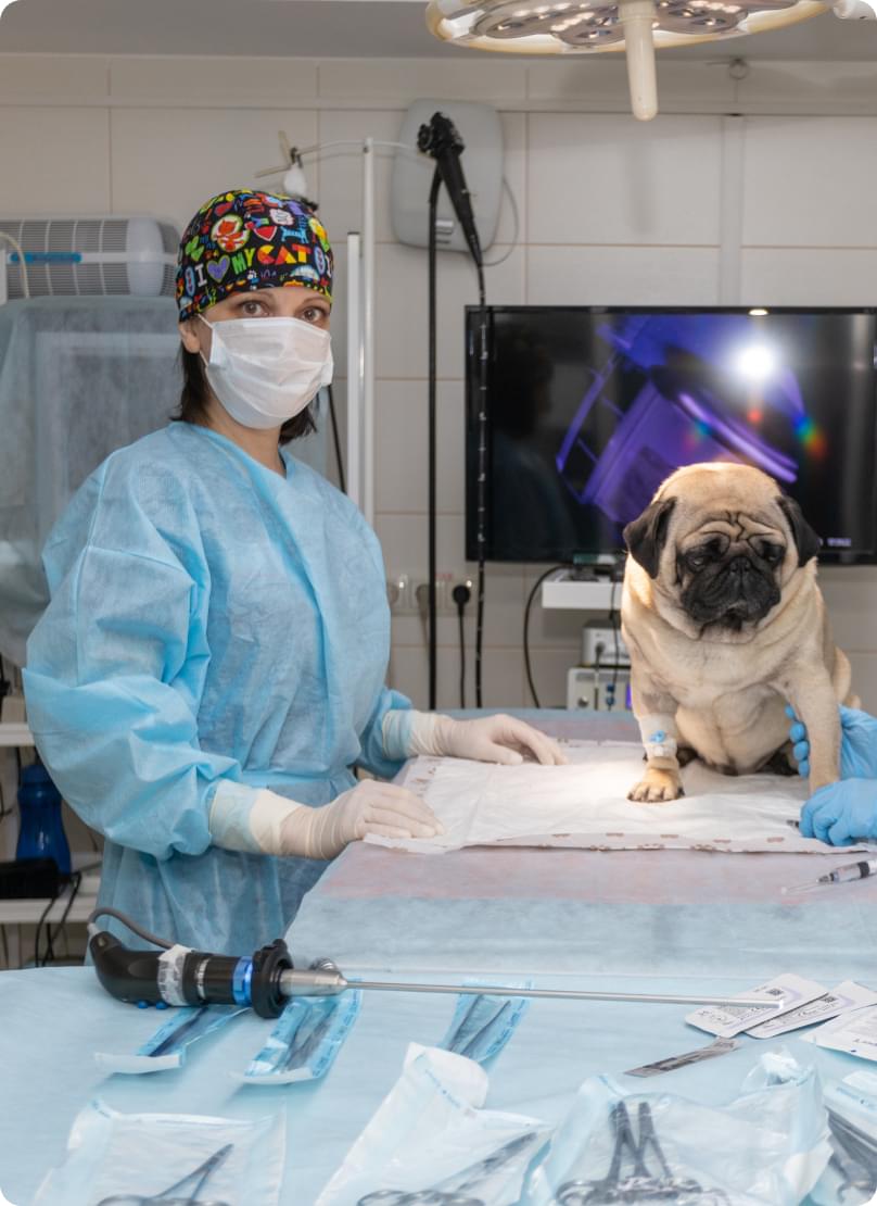 Баннер врача Гайнанова Наталия Валерьевна