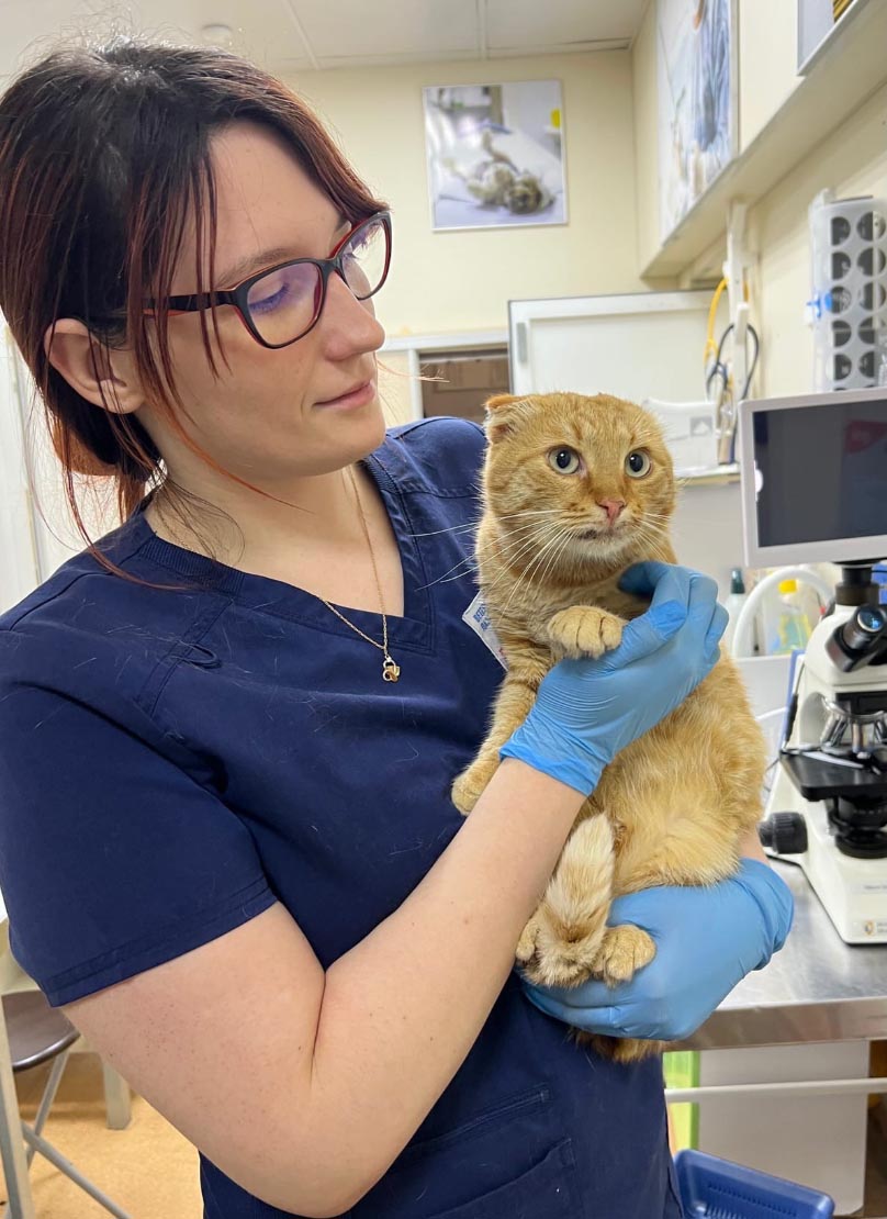 Баннер врача Дюкарева Юлия Андреевна