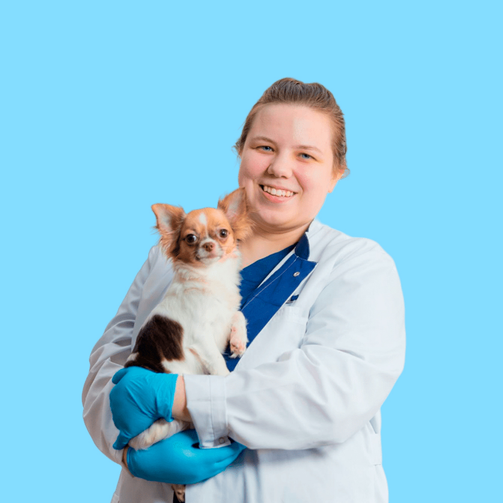 Фото врача Ветрова Анастасия Викторовна