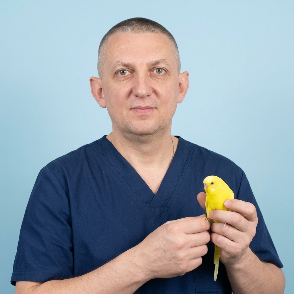 Фото врача Чугуевский Владимир Владимирович