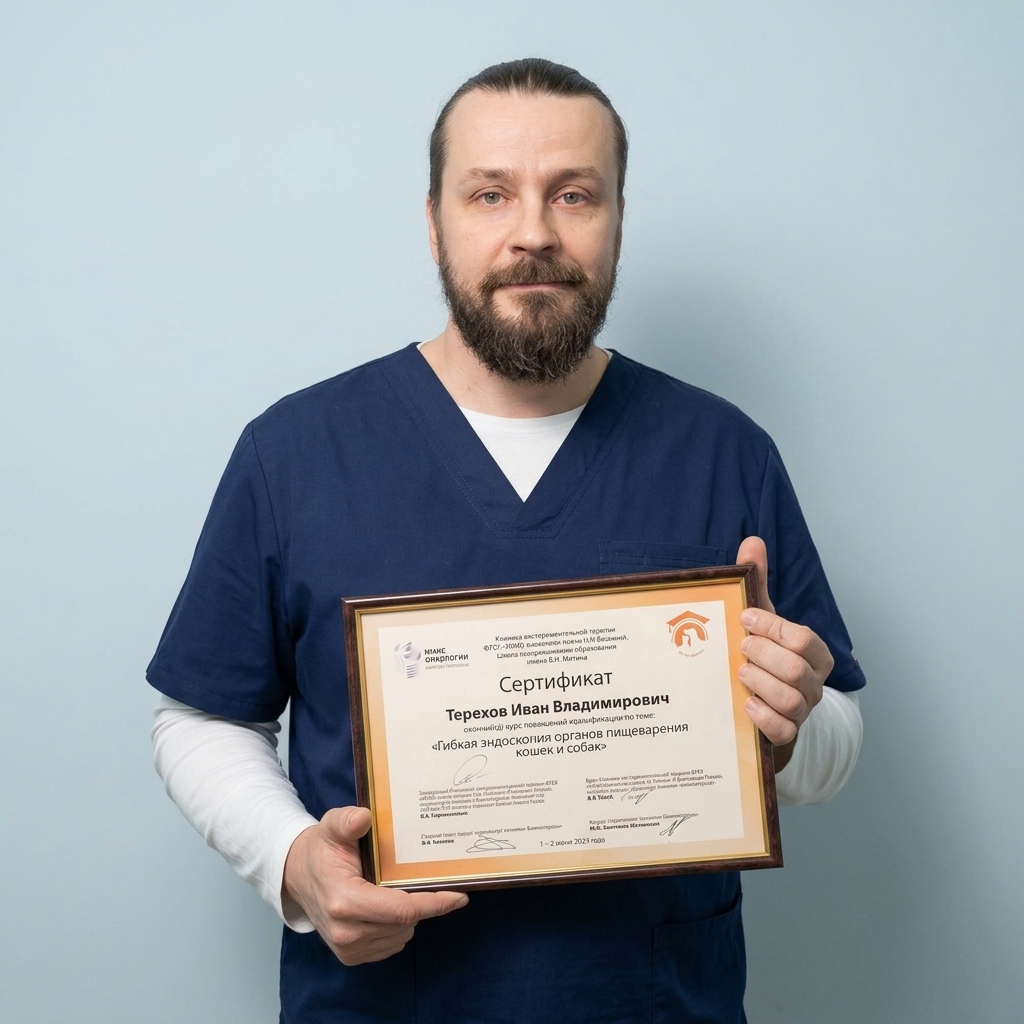 Фото врача Терехов Иван Владимирович