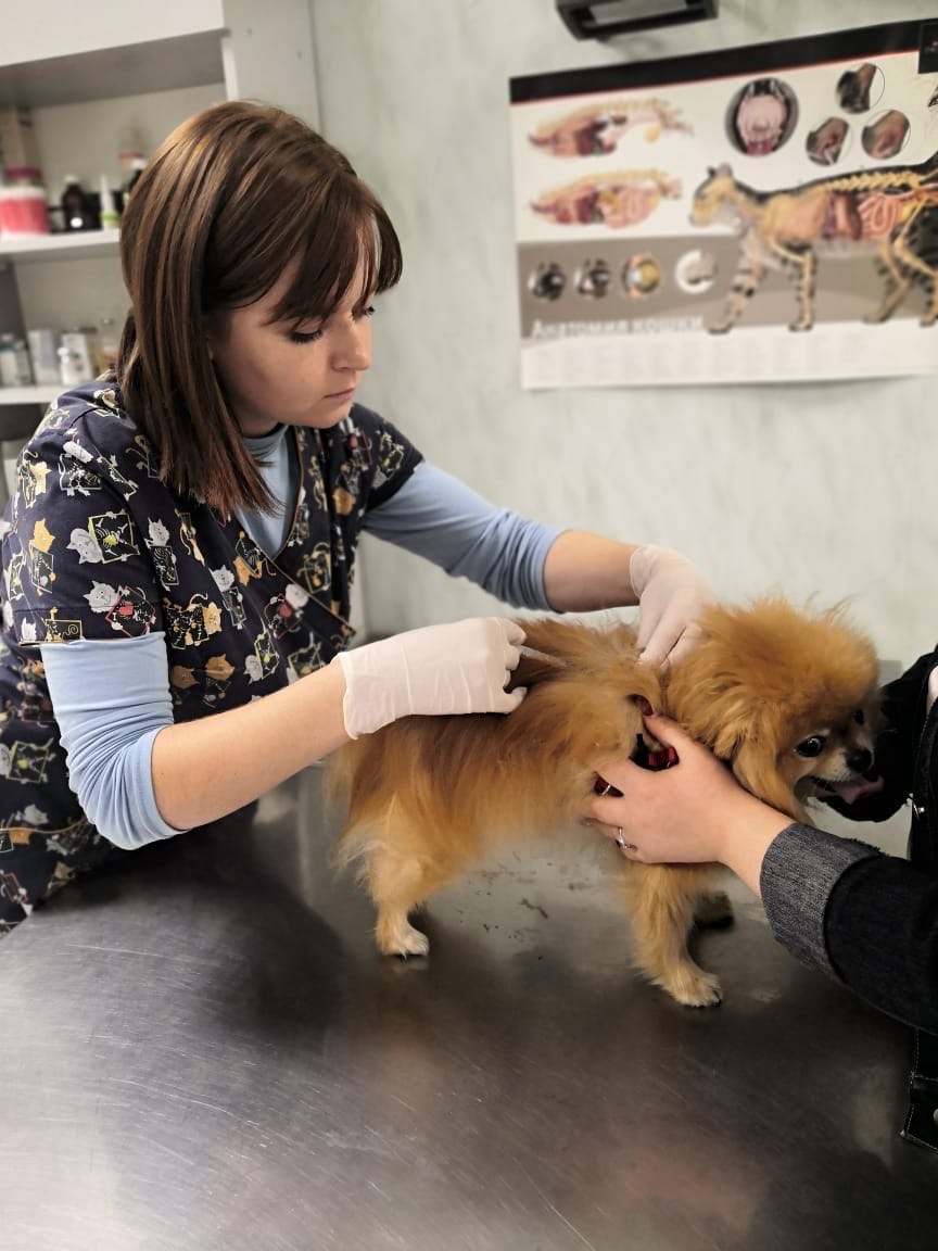 Баннер врача Писаревская Екатерина Павловна