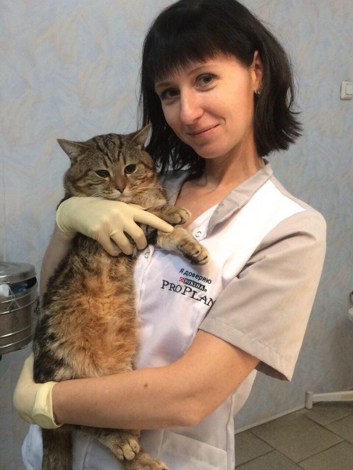 Баннер врача Чернявская Ольга Алексеевна