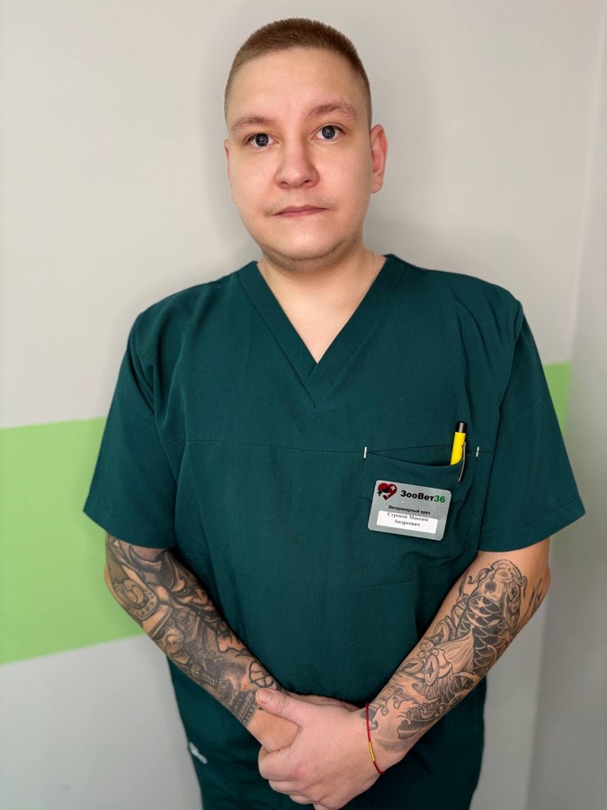 Фото врача Строков Максим Андреевич