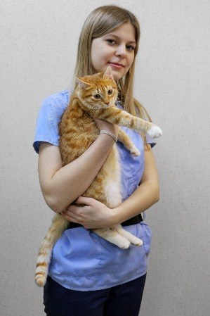Фото врача Гетман Марина