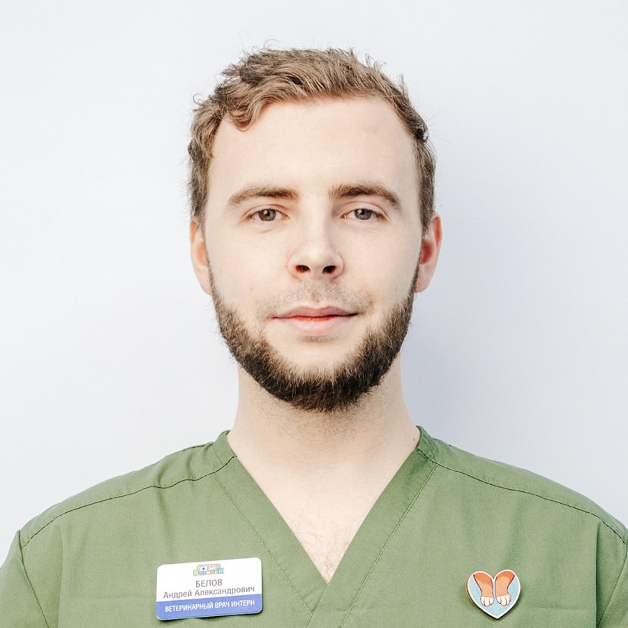 Фото врача Белов Андрей Александрович