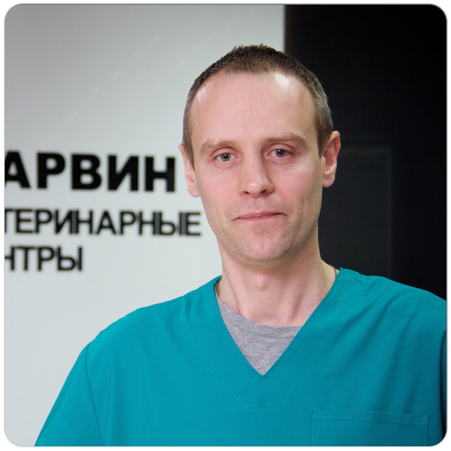 Фото врача Зинин Алексей Юрьевич