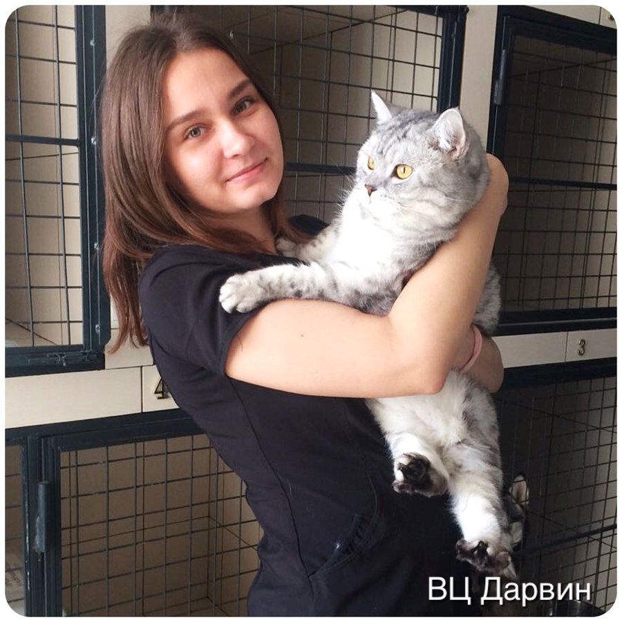 Фото врача Субботина Евгения Вадимовна