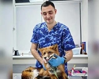 Фото «Сикачев Антон Кириллович»