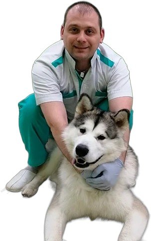 Фото врача Плотников Василий Владимирович