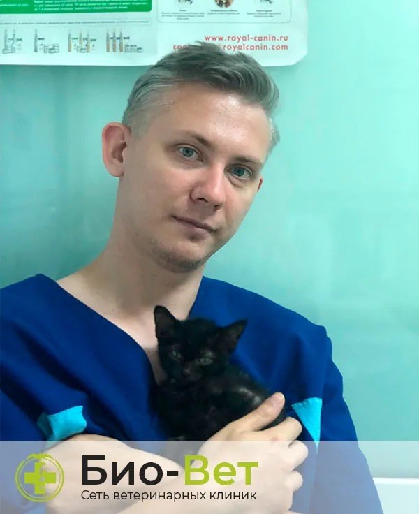 Фото «Чирков Роман Олегович»