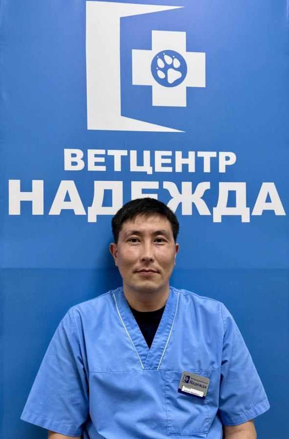Фото врача Акимов Алексей Эдуардович
