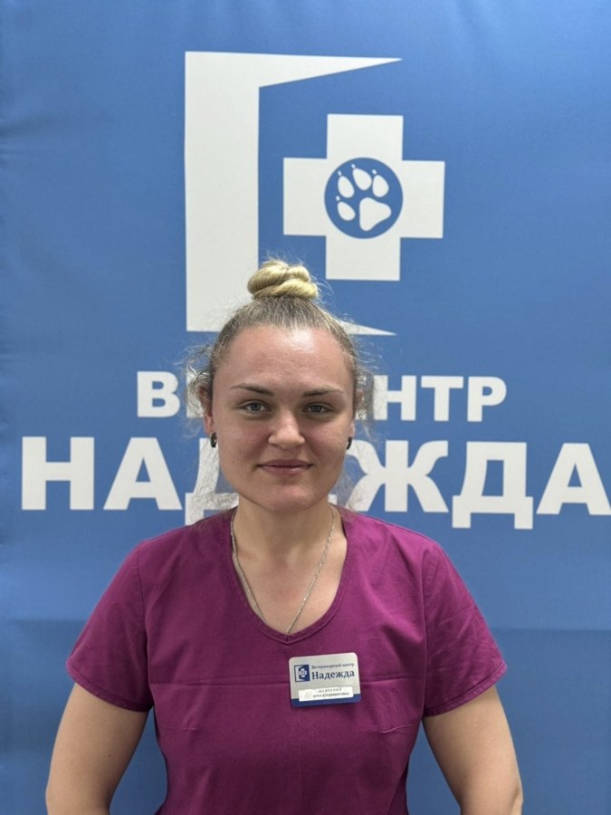 Фото «Шевченко Анна Владимировна»