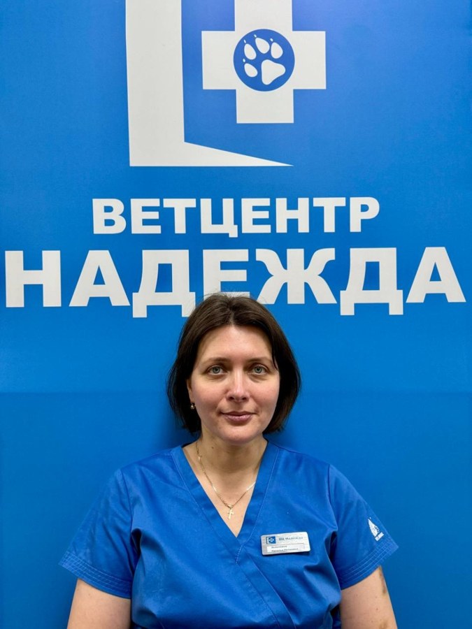 Фото врача Зеленкина Наталья Петровна