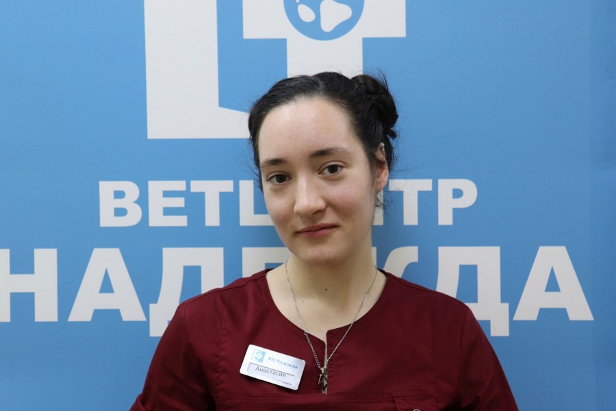Фото врача Прокофьева Анастасия Сергеевна