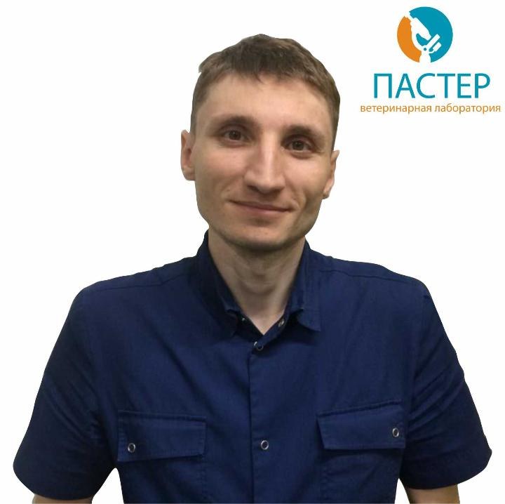 Фото «Поселов Дмитрий Сергеевич»