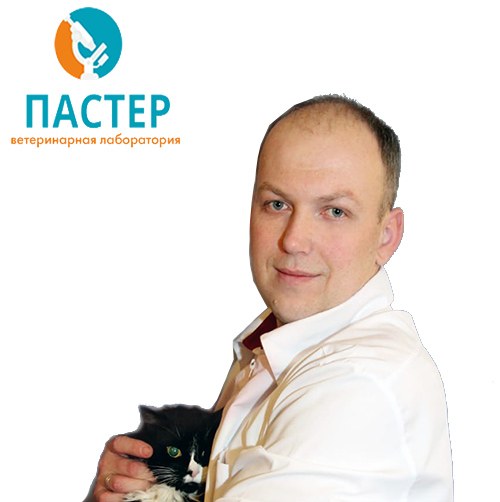 Фото врача Артемов Виталий Викторович