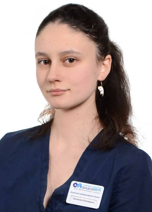 Фото врача Соколова Екатерина Константиновна