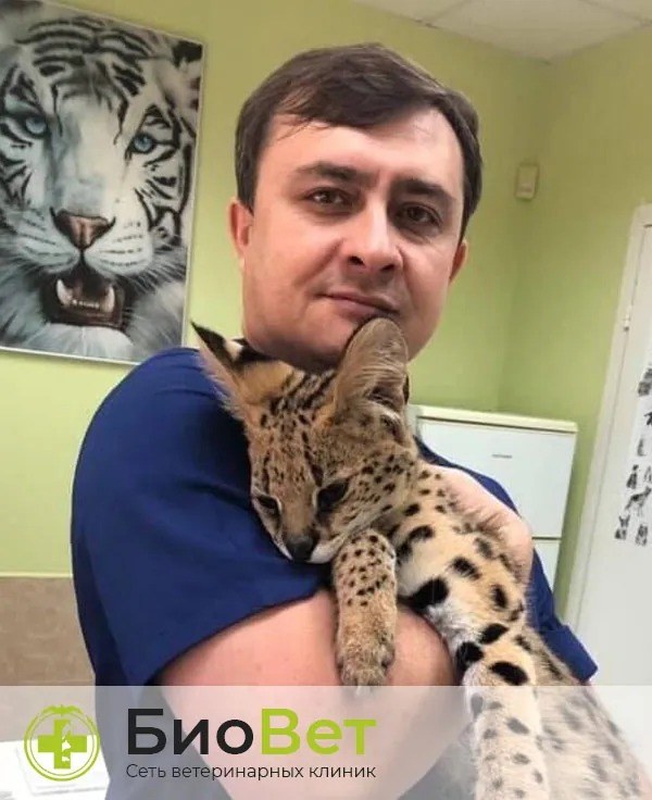 Фото «Шаловинский Дмитрий Юрьевич»
