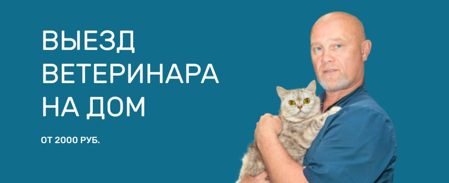 Фото врача Бурлаков Евгений Валентинович