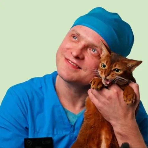 Фото врача Юдаев Михаил Викторович