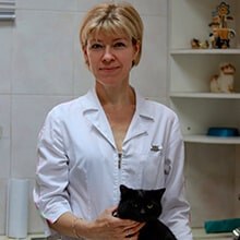 Фото врача Введенская Ольга Всеволодовна