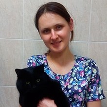 Фото врача Ткаченко Анастасия Константиновна