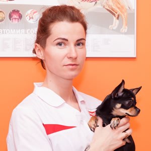 Фото врача Фроленко Елена Владимировна
