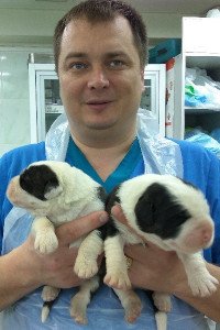 Фото врача Козлов Евгений Юрьевич