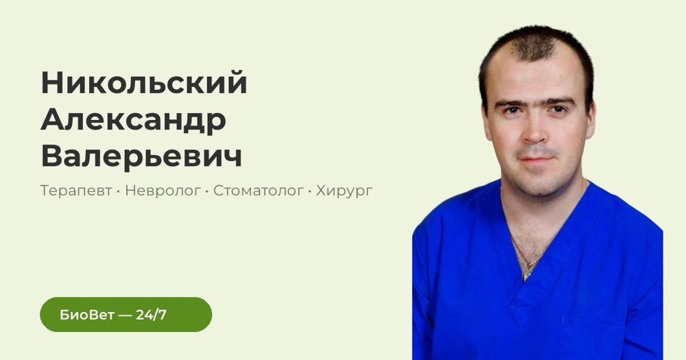 Фото «Никольский Александр Валерьевич»