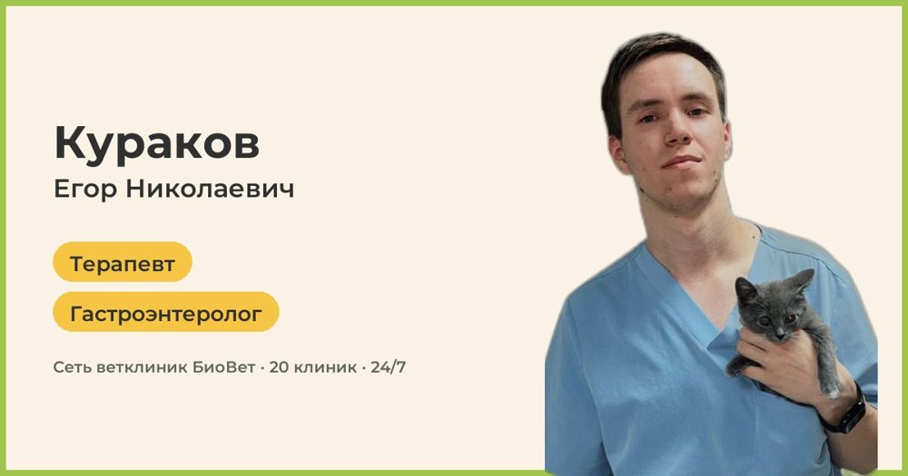 Фото врача Кураков Егор Николаевич