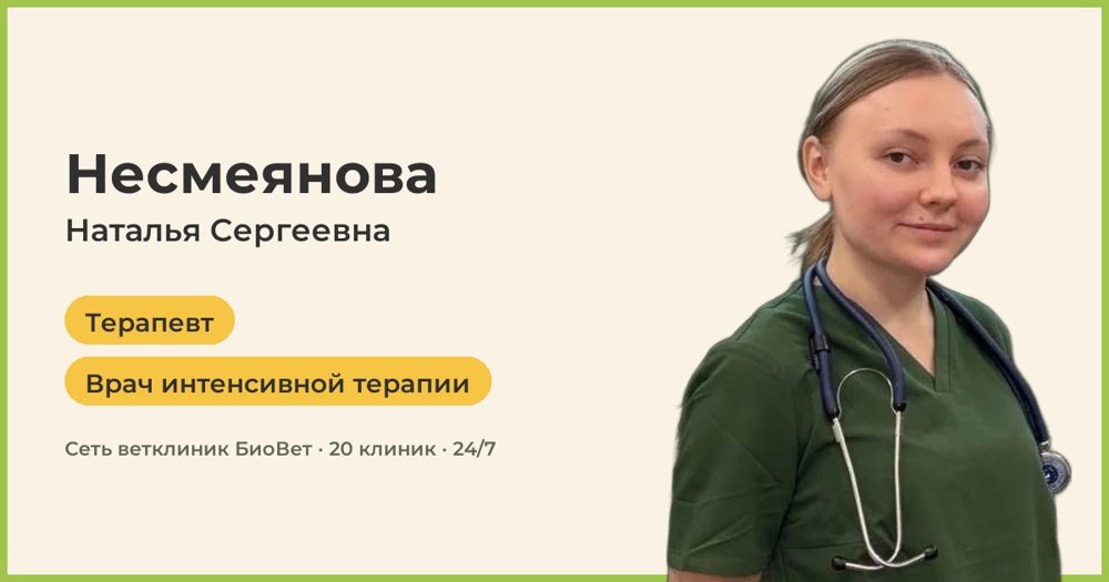 Фото врача Несмеянова Наталья Сергеевна
