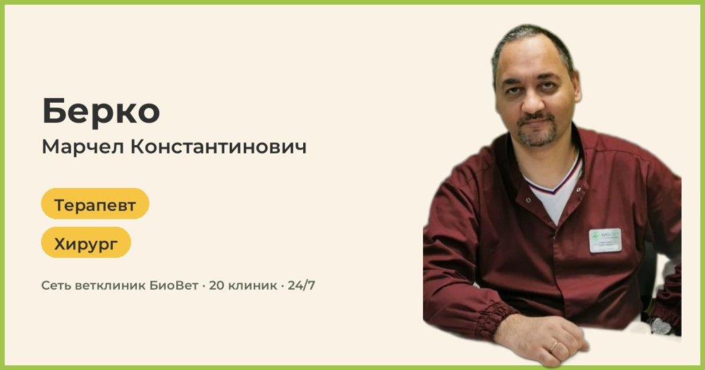 Фото «Берко Марчел Константинович»