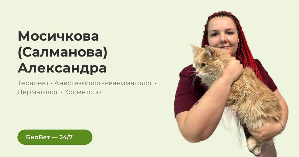 Фото «Мосичкова Александра Ильинична»